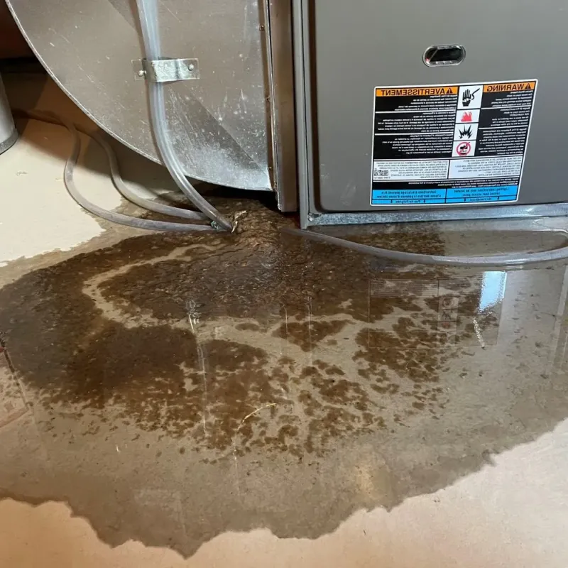 Pipe Burst and Leak Restoration in Fort Montgomery, NY